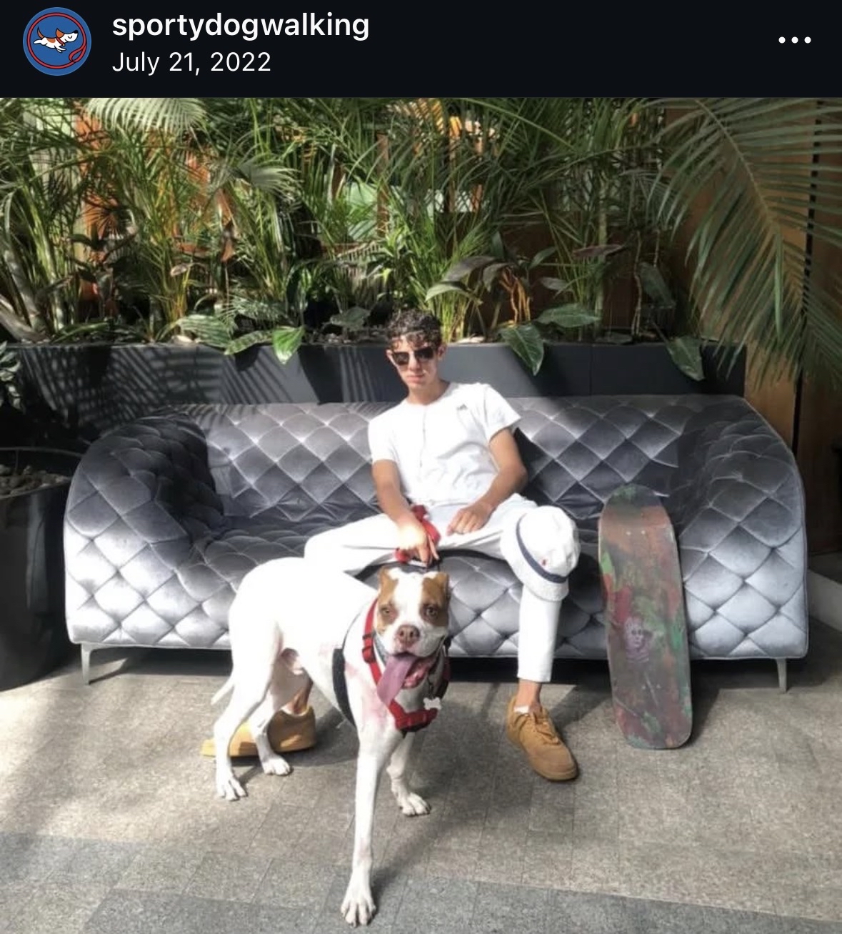 Luis Carlos Espinosa Mere, fundador de SportyDogWalking